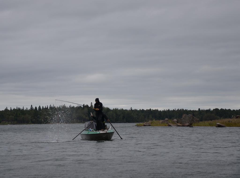 FÖRORD Till skärgårdens allra mest högproduktiva miljöer hör de grunda havsvikarna som ofta är mycket viktiga reproduktions- och uppväxtmiljöer för fisk.