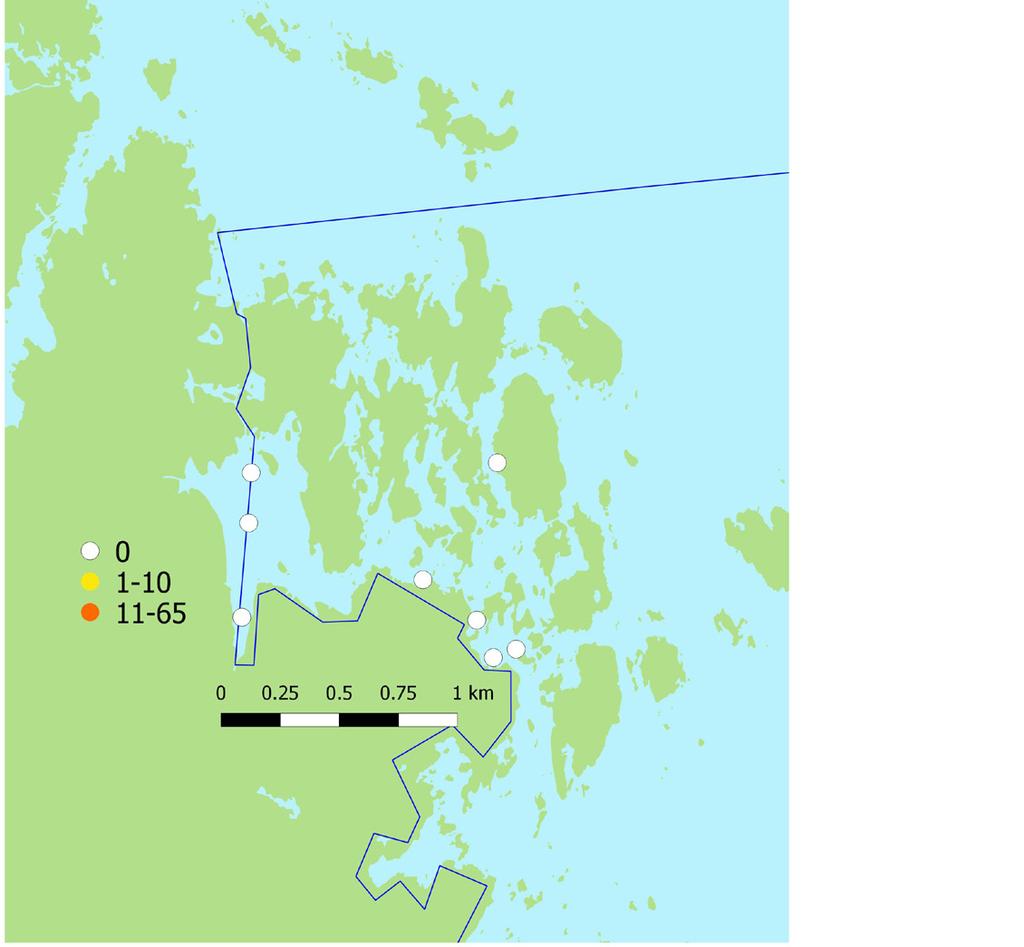 Tabell 1. Fångsten av sikyngel (antal per notdrag) vid notdragning våren 2016 i Kallrigareservatet. Se kartan i Figur 2 för lokalernas lägen.