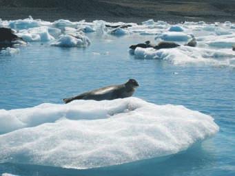 Ändå är det en enorm upplevelse att komma så nära själva glaciärkanten. Här får man verkligen en känsla av naturens enastående krafter och hur liten människan i verkligheten är.