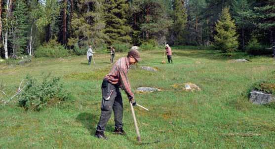 Fig. 7. Ängen i Persbacka var en av de första fyndplatserna.