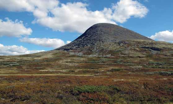 Svensk Mykologisk Tidskrift 36 (2): 73 85 2015 Olika biotoper i fjällen Sofia Lund Biotoper och ekologi ABSTRACT Habitats in the subalpine alpine zones of Scandinavia.