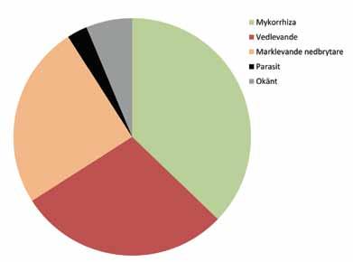 Artdatabanken Fig. 5. Tårtdiagram som visar vilka levnadssätt rödlistans svamparter har. levande och en tredjedel är marklevande nedbrytarsvampar (fig. 5). Drygt 20 arter är parasiter.