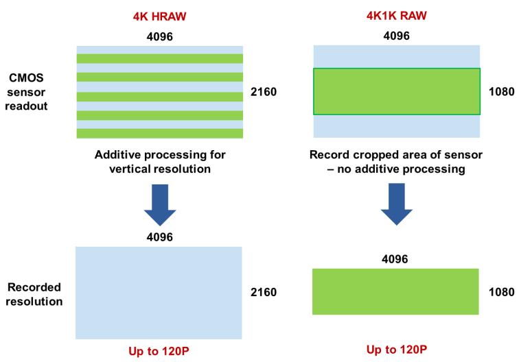 Teknisk illustration: Lägga till ACES Proxy utdata från MON-utgång (EOS C500) Firmware-uppdateringarna ger ytterligare support för större produktioner som använder ett