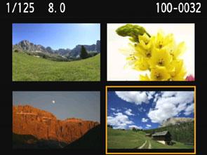 Tryck på knappen <Hy>. Ett 4-bilders index visas. Den valda bilden markeras med en orange ram.