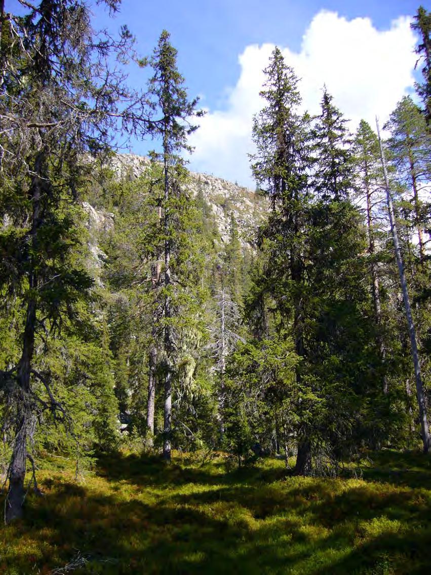 Naturreservat I ekoparkens nordöstra del ligger berget och naturreservatet Jan-Svensamössan domänreservat.