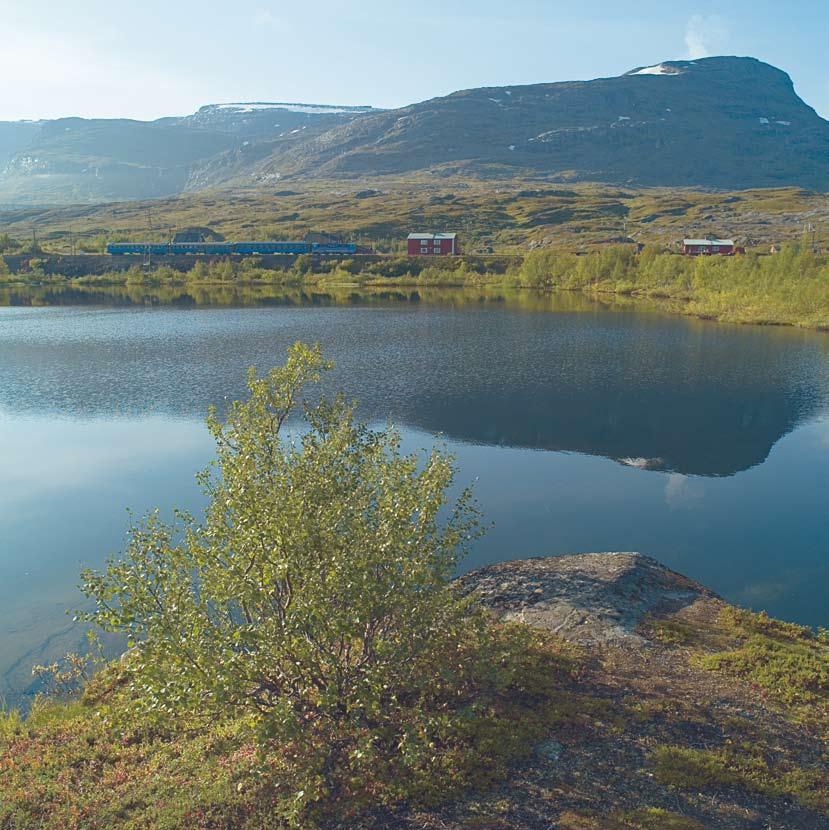 De har nyttjats av människor i långa tider och nyttjas än idag. Norrbotten gränsar mot både Finland och Norge och till Riksgränsen vid Norge kommer du på E10.