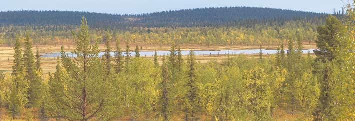 NORRBOTTEN Länet Norrbotten är i ett historiskt perspektiv ungt. Eget län blev det först efter 1809 års krig dessförinnan var man en del av Västerbotten. Namnet Norrbotten är däremot betydligt äldre.