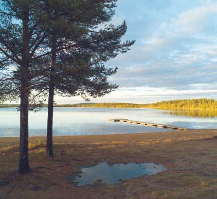 VaTTEN Föreställ er att ni ska välja en plats att tälta på. Ni ska vara borta i tre månader och får inte ta med er mat och dryck. Var skulle ni välja att resa tältet?