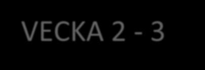 VECKA 2-3 Barnkalas fest!