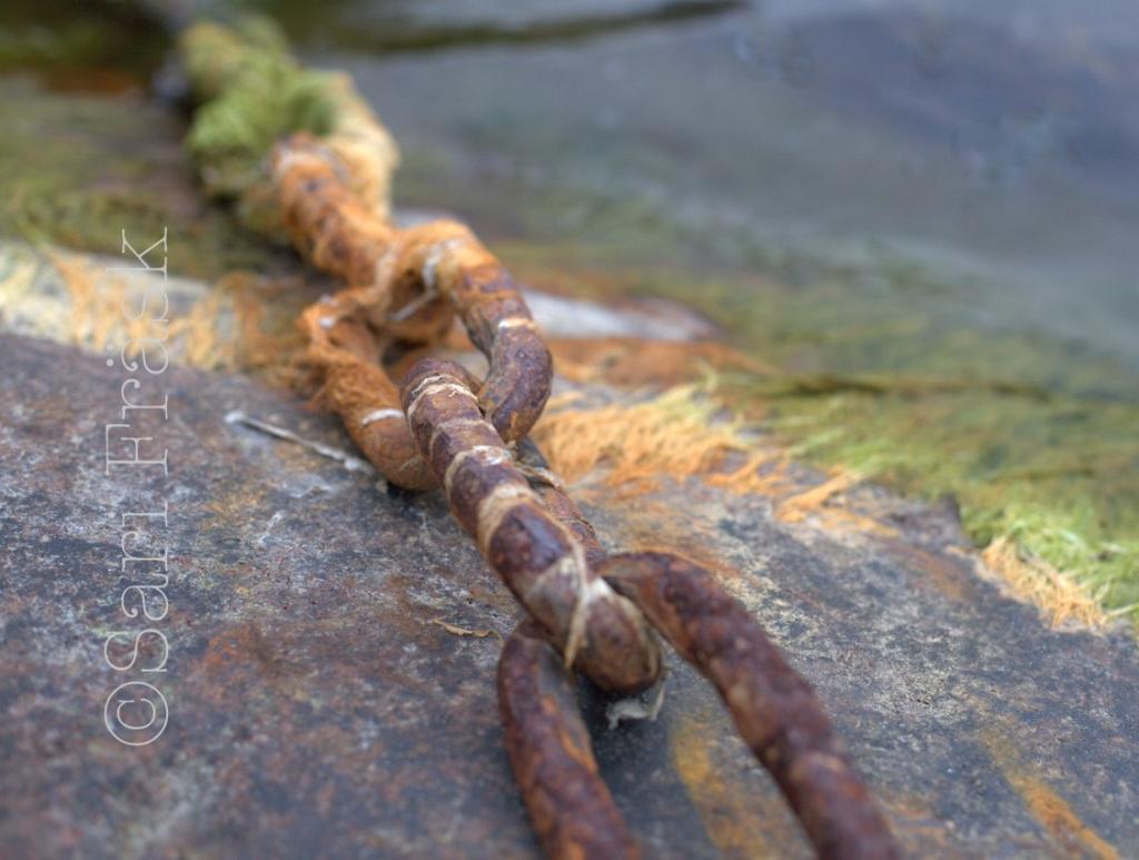 Men med den vackra natur Åland kan erbjuda, har det även blivit andra motiv med tiden. Mina bilder är tryckta på canvasduk samt träblock. Vernissage: Plats: Kapellhagen tisdag 11 april.