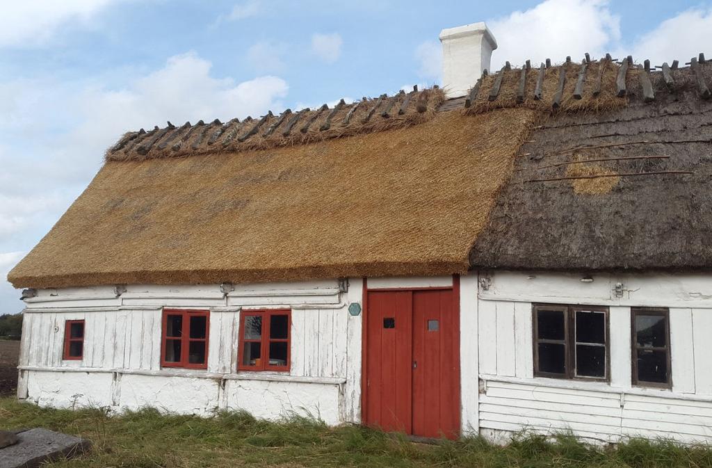 Örumshuset Örumshusets södra takfall, efter att taket lagts om, oktober 2016. Några hål på denna sida lagades likt tidigare lagningar med ny halm och rafter över halmen.