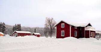 De har en egen flisanläggning som ger värme till två bostadshus, ett större garage samt en korntork. Flispannan blev färdig i september 2008, lagom till det årets tröskning.