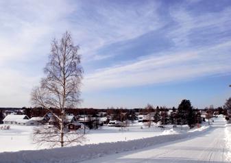 Driven av detta satte han 2005 igång arbetet med få tillstånd att bygga flispannor i Hemmingsmark utanför Piteå samt i Rosvik mellan Piteå och Luleå.