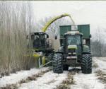 Salix är en effektiv energiråvara som både kan eldas för att generera fjärrvärme för uppvärmning och varmvatten men det kan också generera både biogas och elektricitet.