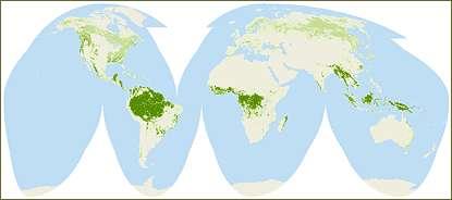 13 miljard ha land (30 % av jordytan) 1,5 miljard ha åker (0,22/Capita) 3,7 miljard ha betesm