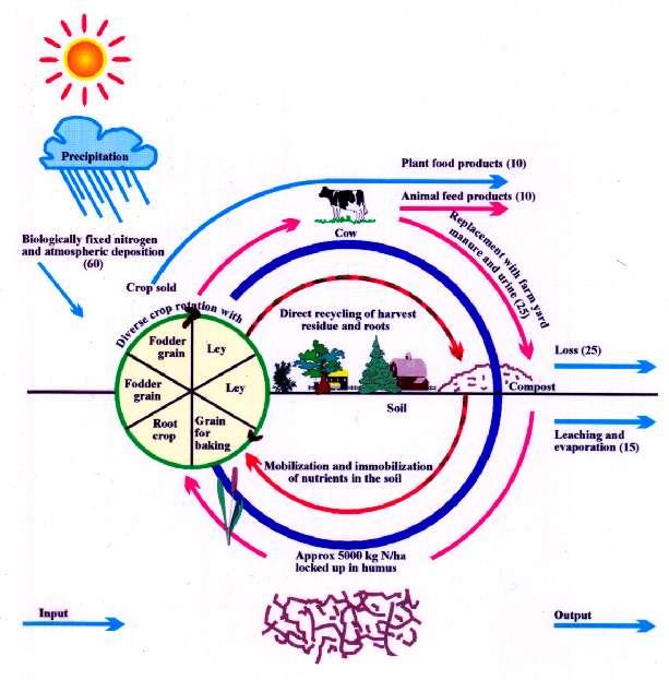 The Biodynamic agricultural organism.