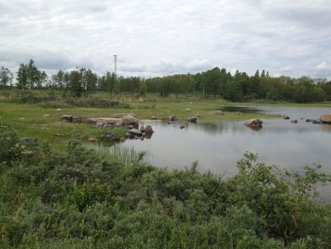 Planändringens genomförande innebär att livsmiljöer på land av regionalt och kommunalt naturvärde ianspråktas.