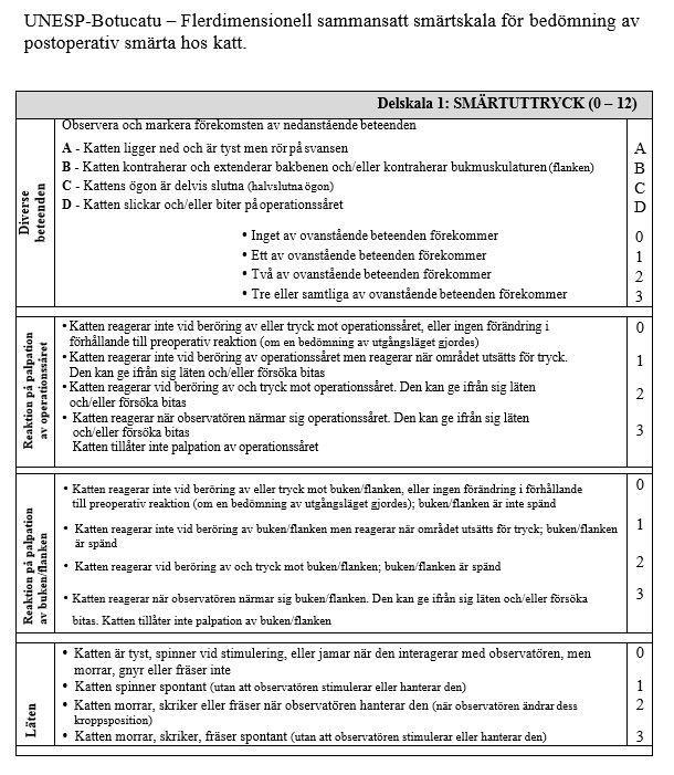 Bilaga 5: