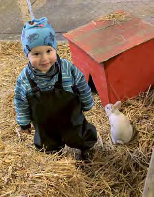 Årsredovisning 2016 Statens veterinärmedicinska anstalt Resultatredovisning One Health One Health-konceptet uppmärksammar att det finns starka kopplingar mellan folkhälsa, djurhälsa och tillståndet i