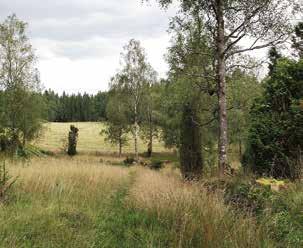 obetade. Det gäller om det är åtminstone någorlunda stora och välbelägna marker.