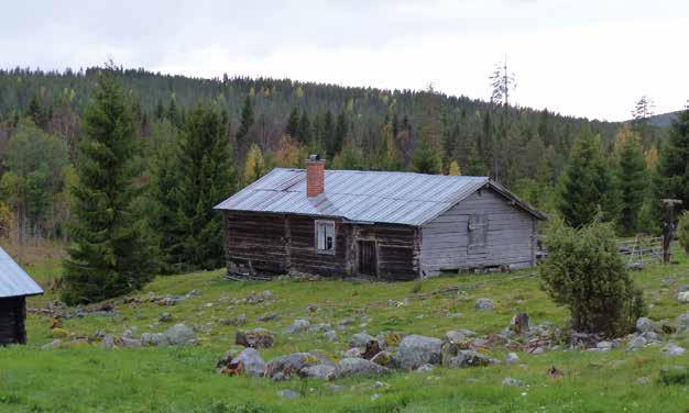 Naturbetesmarkerna är gamla, långsamma system. Våra förfäder var helt beroende av dem. Venåsens fäbod i Hälsingland, september 2016. Foto: Urban Emanuelsson.