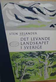 Den store pionjären var autodidakten Mårten Sjöbeck från Helsingborg.
