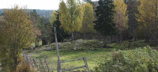 En utmaning är försvårande landskapsstruktur. Foto: Ylva Nordin.