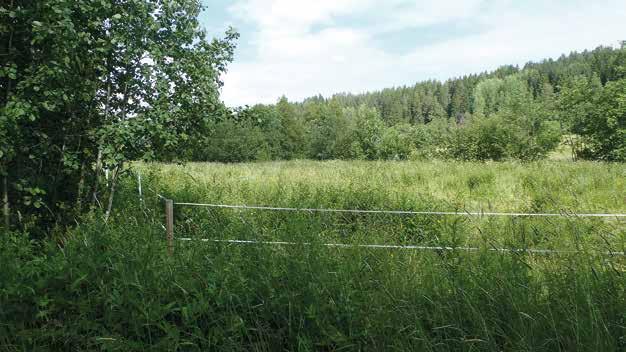 nödvändig förutsättning. Det behövs förändringar i de ekonomiska villkoren för små och mellanstora jordbruk, inklusive verksamhet med inriktning mot traditionell skötsel.