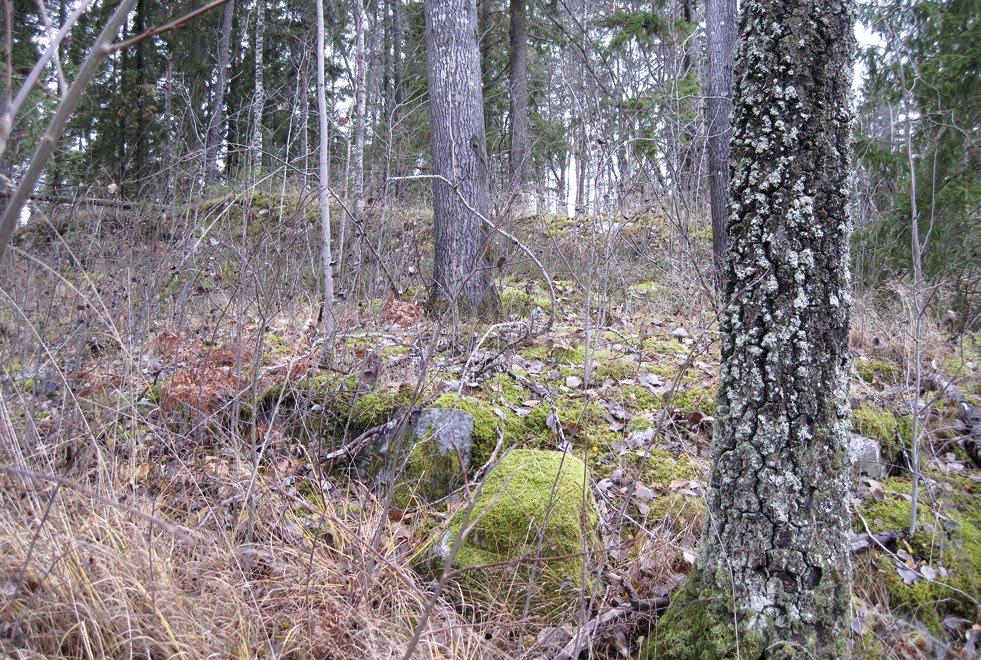 Torp och härd i västra Sömsta 9 förande alternativt orörd nivå. Samtliga schakt genomsöktes systematiskt med metalldetektor.