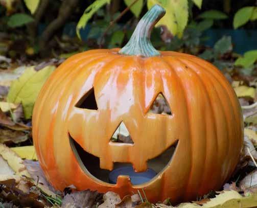 26 Halloweenläger i Stenestad 3 november - 5 november, 2017 Halloweenläger för åldrarna cirka 12-30 år Anmälan vill vi ha senast den 16 oktober på adress: FUB Kurirgatan 1, 254 53 Helsingborg