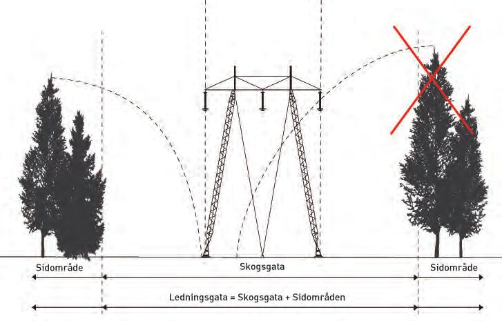 13 Figur 5. Principskiss över en ledningsgata i skogsmark.