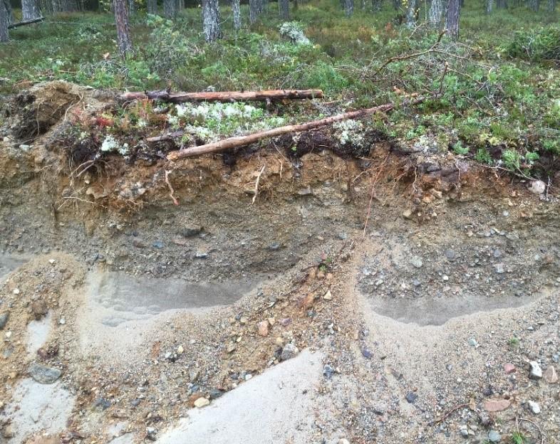 VÄG 3 Väg 3 är belägen i närheten av Mellansjö. Terrassen består av sandigt-grusigt sediment. Materialtypen varierar kraftigt i området som består av ett torrlagt utströmningsområde.