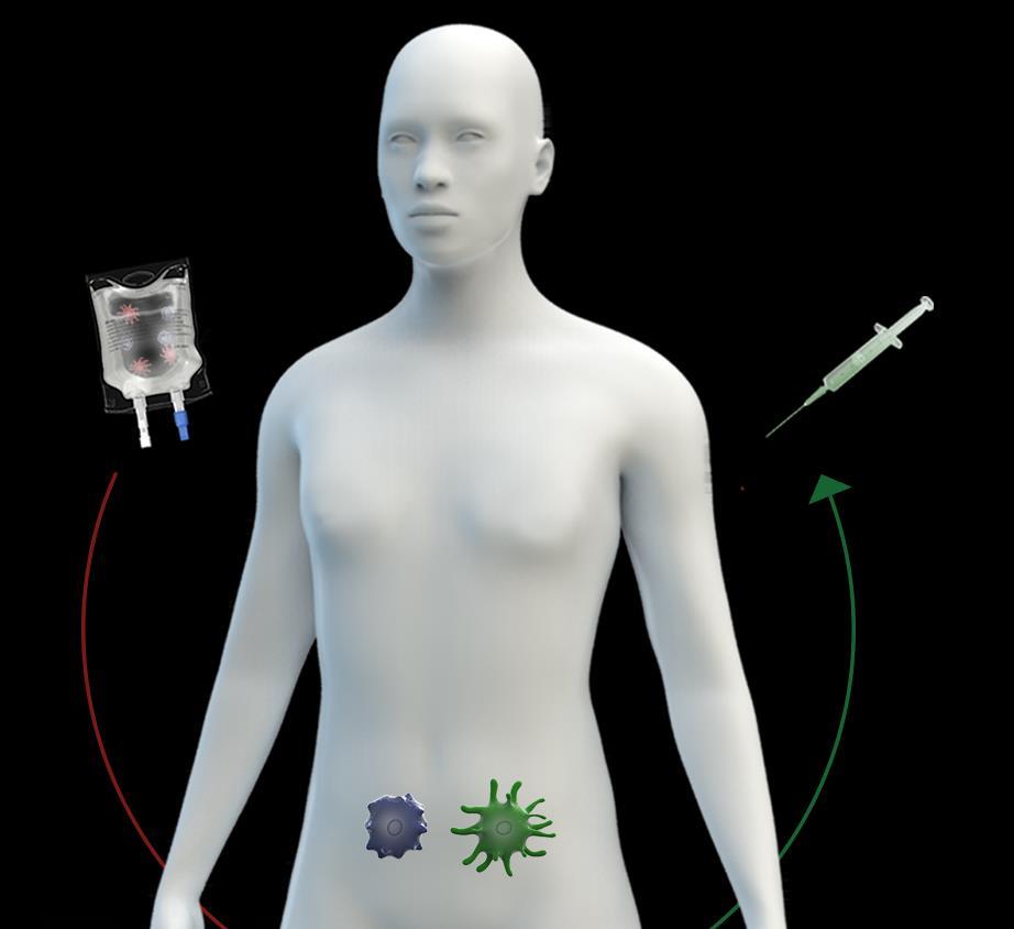 Tolerogen immunterapi unik för varje patient Dendritiska celler är en typ av vita blodkroppar som spelar en central roll i immunförsvaret, då de styr andra immuncellers igenkänning av vad som är