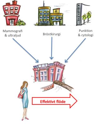 Tillgodose hela behovet OrganisaEon