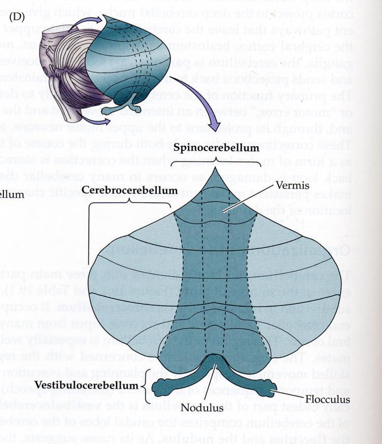 Funktionella