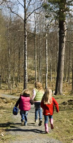 Bara naturlig försurning De försurande effekterna av nedfall och markanvändning ska underskrida gränsen för vad mark och vatten tål.