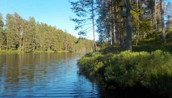 I denna göl kan du också fiska Regnsbågslax och fiskekort krävs.