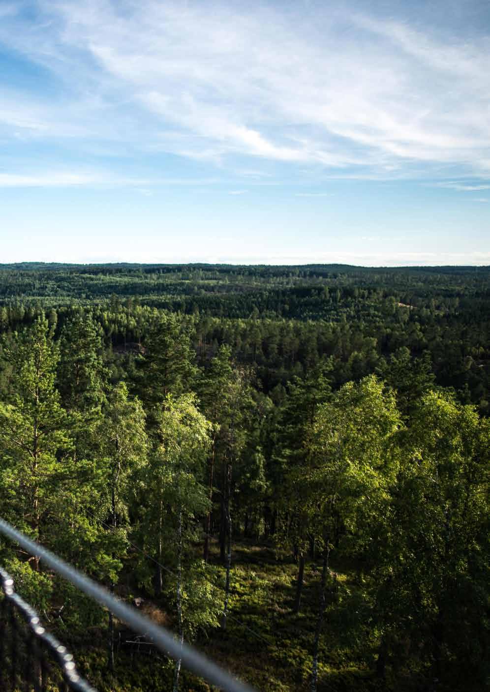 Vår Kungsörn! FANTASTISKA VYER!