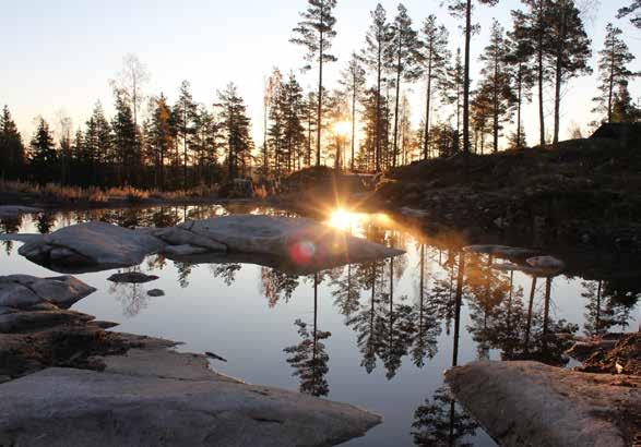 Vi serverar olika rätter från skog och sjö.