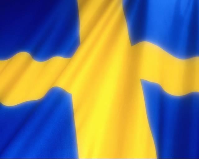 Andel, procent Sverige: Brexit skapar Swexit? Opinionsmätning SEB/Demoskop maj 2016 Kräva omförhandling? Ja: 36% Nej: 36% Välja euro eller lämna EU?