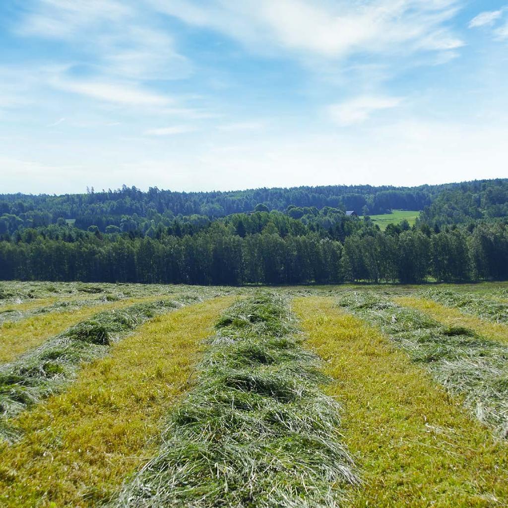 ENSILERINGSSMEDEL ENSILERINGSMEDEL Xtrasil kemiska tillsatsmedel Tillsats av Xtrasil ger en snabb ph-sänkning vilket gynnar tillväxten av mjölksyraproducerande bakterier.