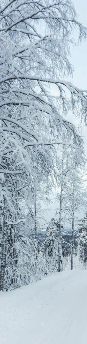 Nokian WR Centraleuropeiska vinterdäck Nokian WR A4 Balanserad körning för sportiga bilar.