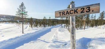 Varje vinter testas mer än 20 000 däck.