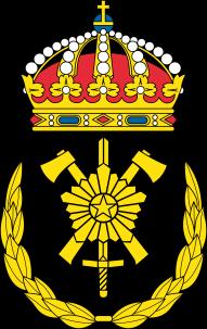 sådan skall förekomma. Skölden krönt med en kunglig krona och lagd över ett från en femuddig stjärna utgående, nedåtriktat strålknippe, allt av guld.