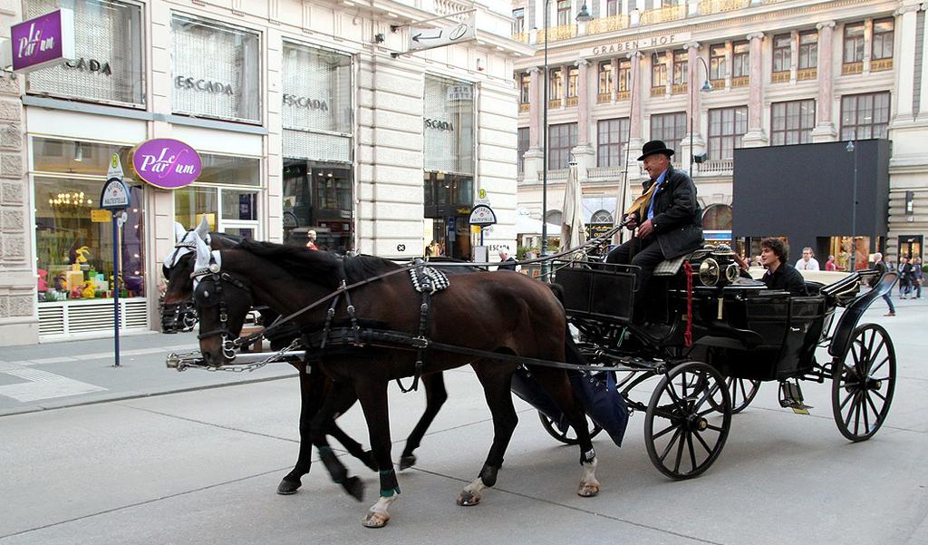 Det finns gott om hästdroskor i Wien.