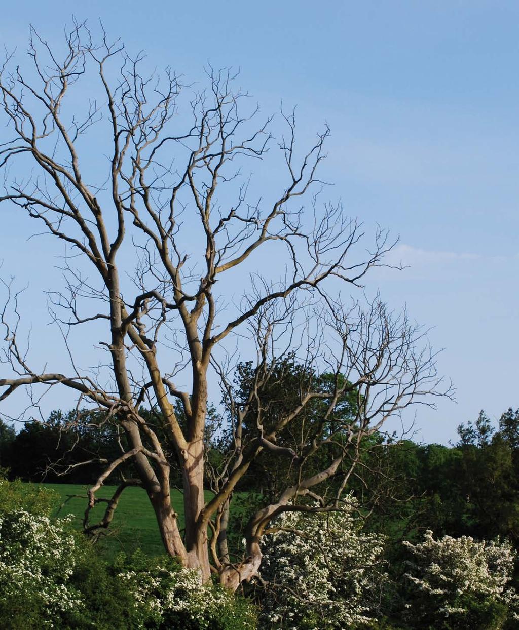 Maj 2015 delområde Remissversion N Ett samarbete