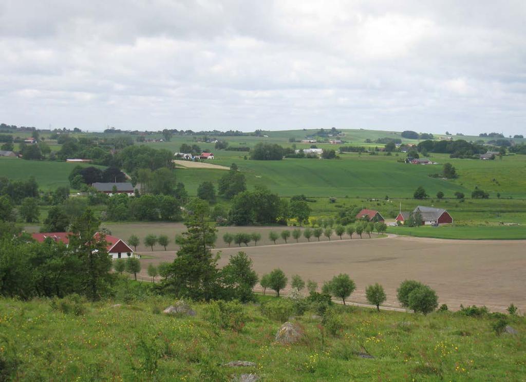 Rönnarp Monumentet på höjden. Rönnarps by utskiftades, men kvar av de gamla utmarkerna ligger Rönnarps bjär som är en vacker kulle med betad hagmark. Vegetationen är ljunghed och torräng.