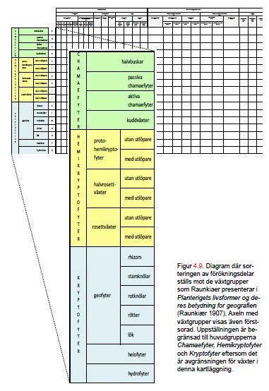 Bild som visar TWs tanke om ett förökningsdiagram med Raunkiærs växttypologi som vertikal sorteringsordning, vilken behandlas i uppsatsens diskussion (Westerlund 2013 s.