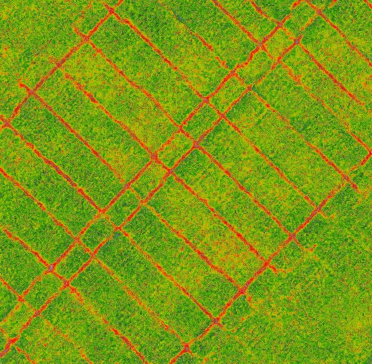 Sjukdomsidentifiering i potatis och stråsäd med luftburna multispektrala sensorer Assessing plant health in potatoes and cereal crops using air-borne multispectral