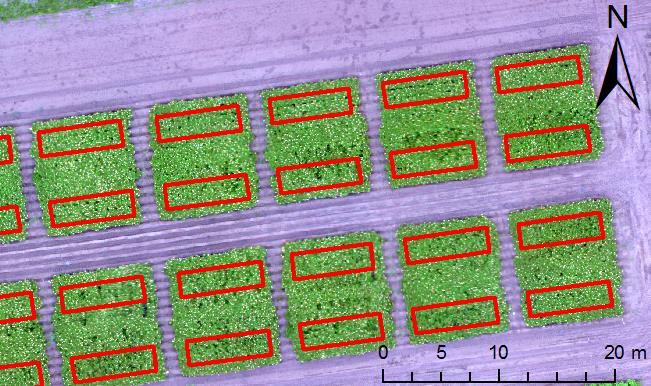 Datanalys Bildmaterialet från försöken med potatis vävdes samman till en mosaik med MicaSense s egen molntjänst ATLAS.